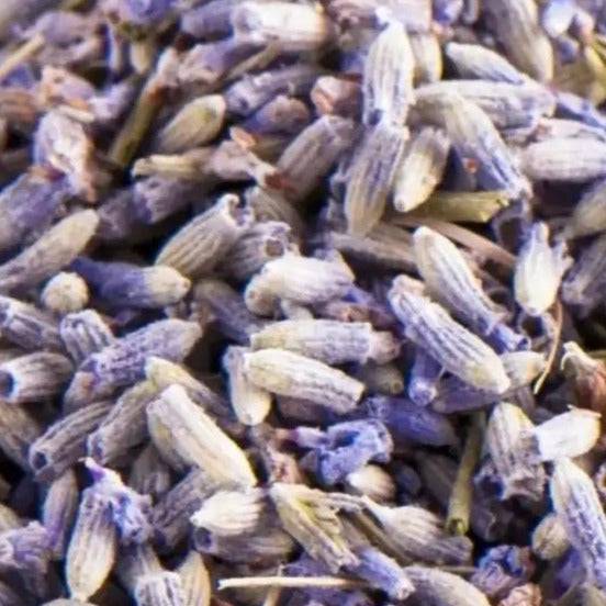 Lavendelblüten I Lavandula officinalis - Ritualmanufaktur.de