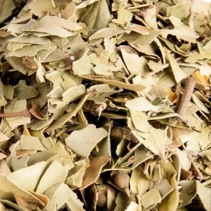 Myrtenblätter I Myrtus communis - Ritualmanufaktur.de