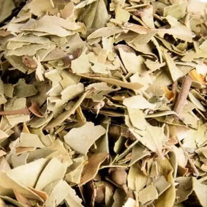 Myrtenblätter I Myrtus communis - Ritualmanufaktur.de