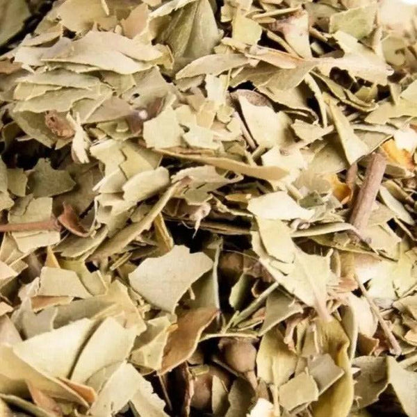 Myrtenblätter I Myrtus communis - Ritualmanufaktur.de