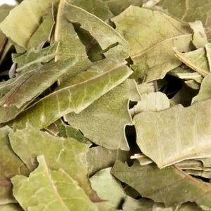 Neemblätter I Melia azadirachta - Ritualmanufaktur.de