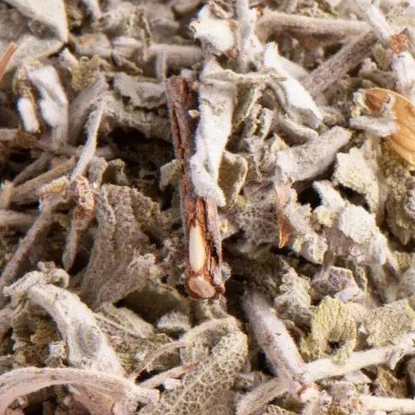 Salbeiblätter I Salvia Officinalis - Ritualmanufaktur.de