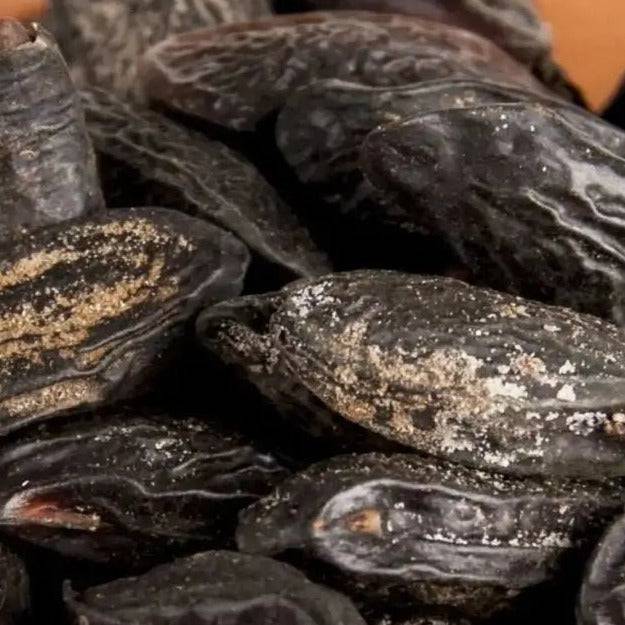 Tonkabohnen I Dipteryx odorata - Ritualmanufaktur.de