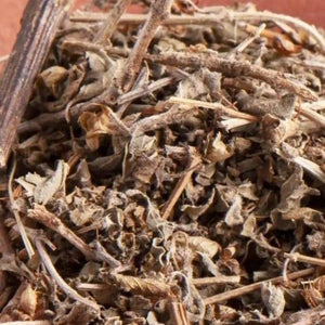 Tulsi I Ocimum tenuiflorum - Ritualmanufaktur.de