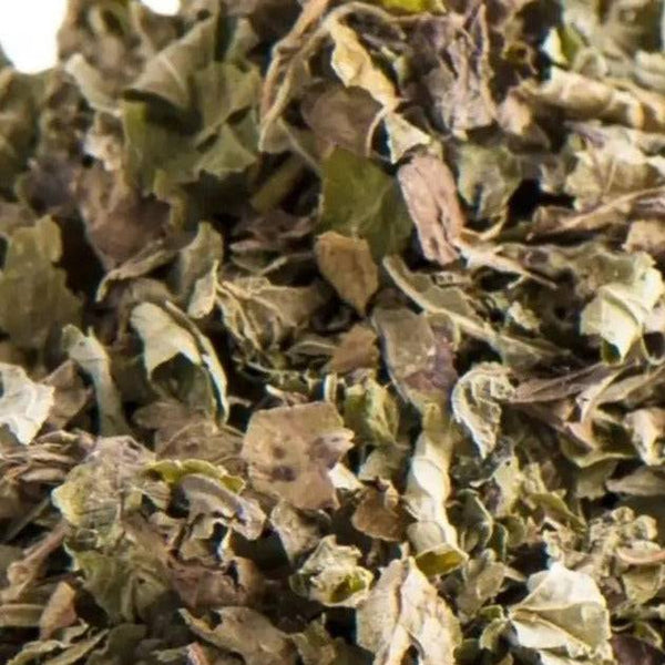 Zitronenmelisse I Melissa officinalis - Ritualmanufaktur.de