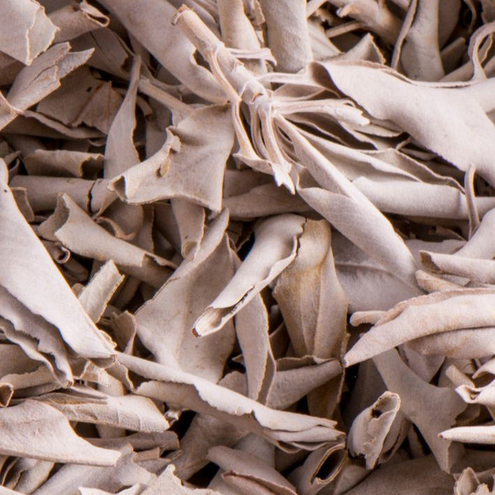 Weißer Salbei premium aus Handernte - Ritualmanufaktur.de