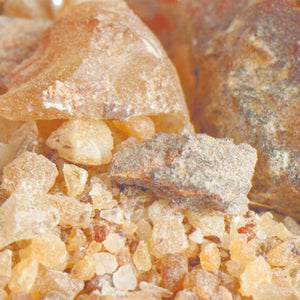 Copal Peru I Protium grandifolium I Reines Harz - Ritualmanufaktur.de