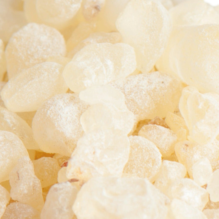 Dammar weiß I Shorea wiesneri I Reines Harz - Ritualmanufaktur.de