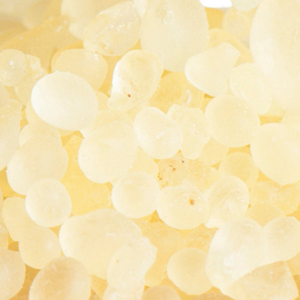 Mastix Tränen I Pistacia lentiscus I Reines Harz - Ritualmanufaktur.de