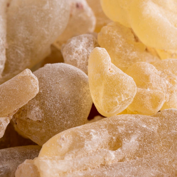 Olibanum Dalzielli I Boswellia dalzielli I Reines Harz - Ritualmanufaktur.de