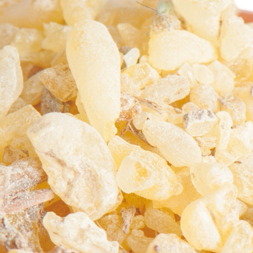 Sandarak I Tetraclinis articulata I Reines Harz - Ritualmanufaktur.de