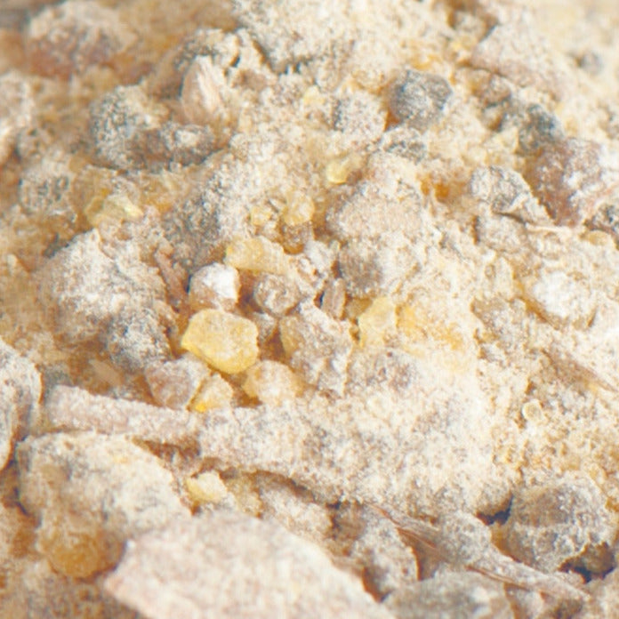 Palo Santo I Bursera graveolens I Reines Harz - Ritualmanufaktur.de