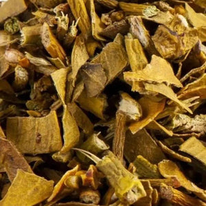 Mistelzweige I Viscum album - Ritualmanufaktur.de