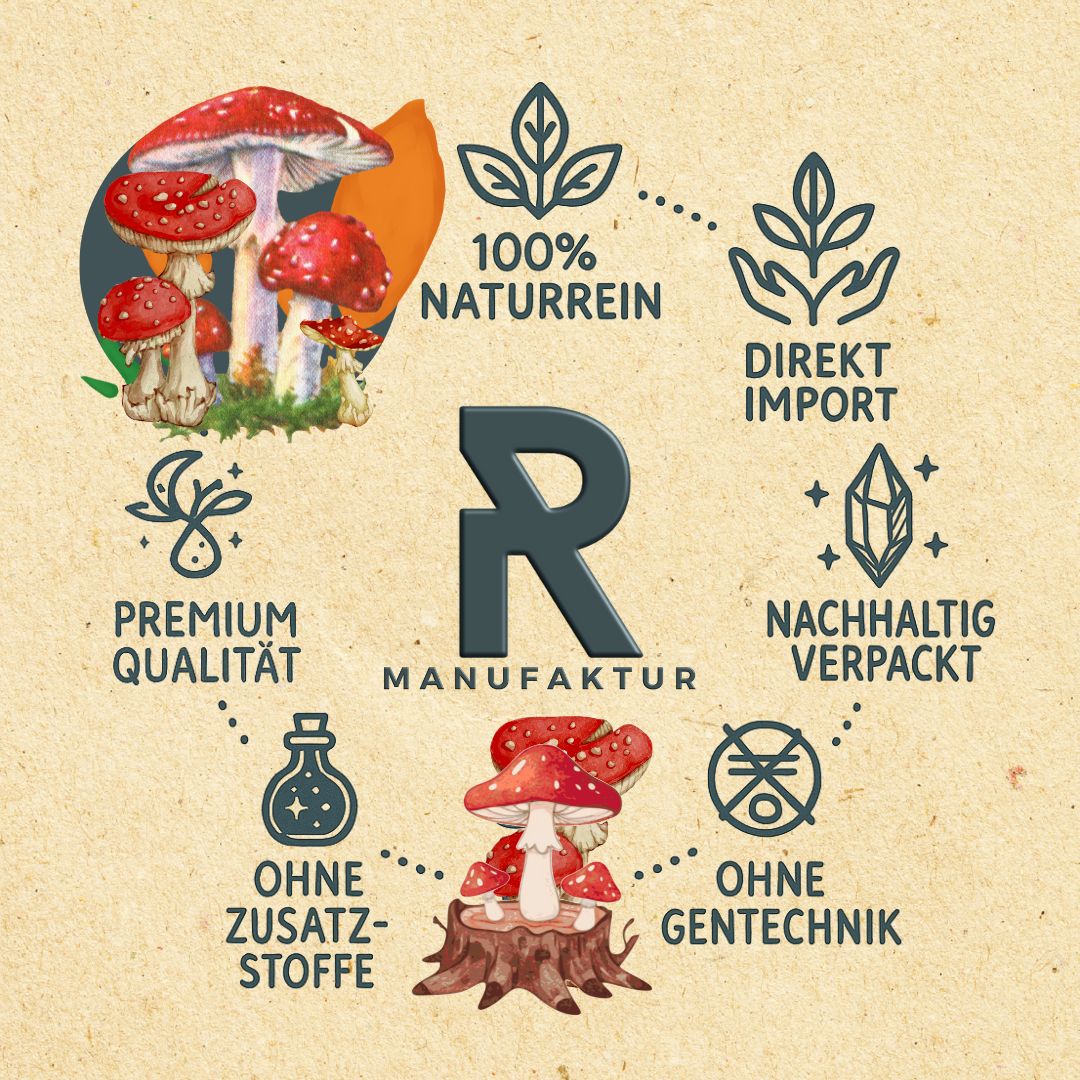 Fliegenpilz Amanita muscaria I Ritualmanufaktur