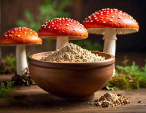 Fliegenpilz Amanita muscaria I Ritualmanufaktur
