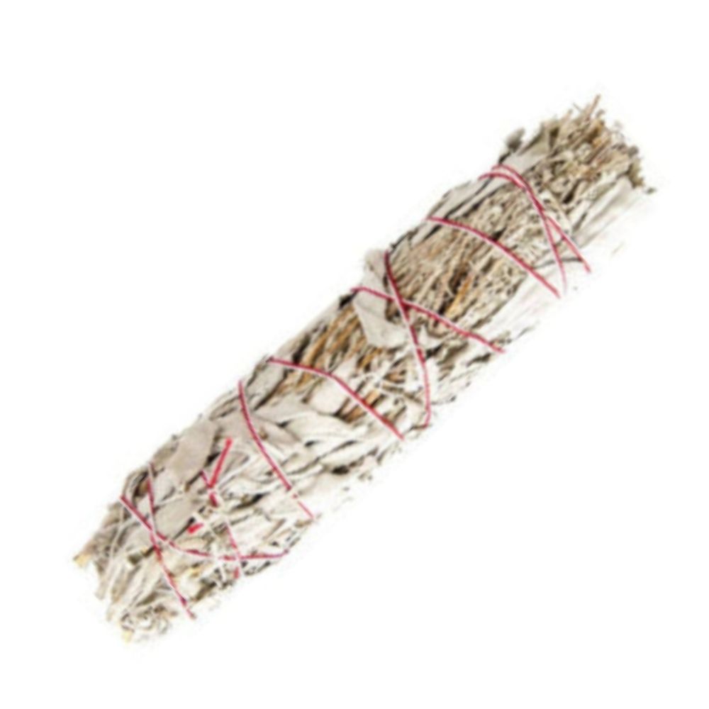 Weißer Salbei & Wüstensalbei Kräuterbündel - Ritualmanufaktur.de