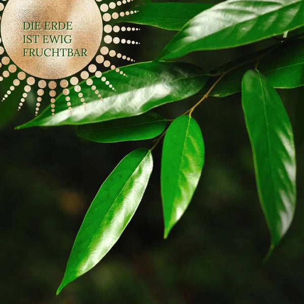 Die Erde ist ewig fruchtbar - Meditation Audio - Ritualmanufaktur.de