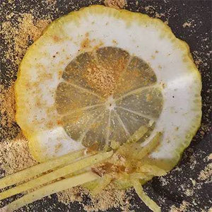 Ingwerpulver BIO aus Nepal - Ritualmanufaktur.de