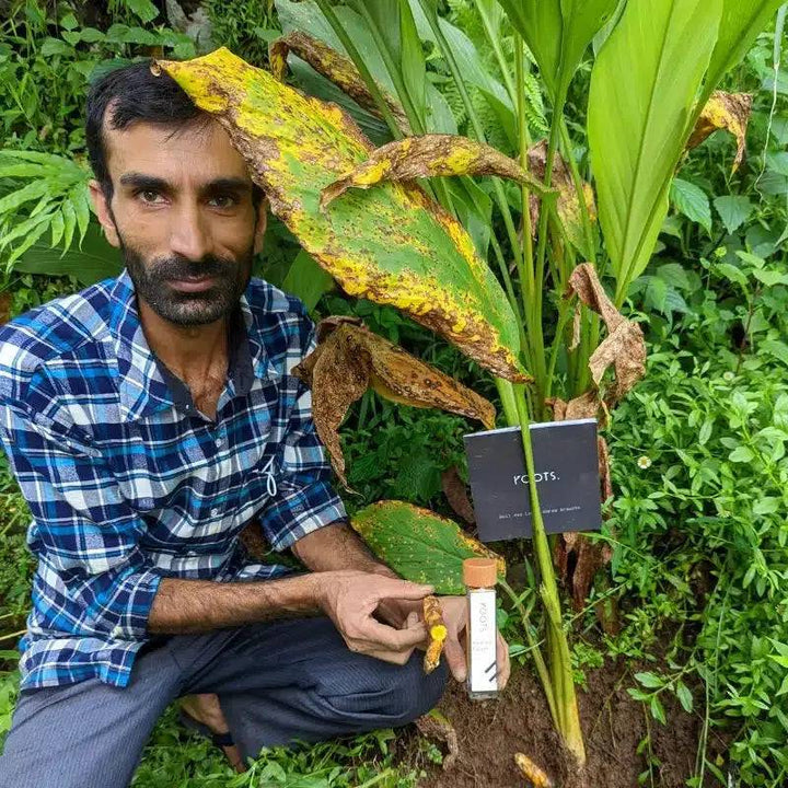 Kurkumapulver BIO aus Nepal - Ritualmanufaktur.de