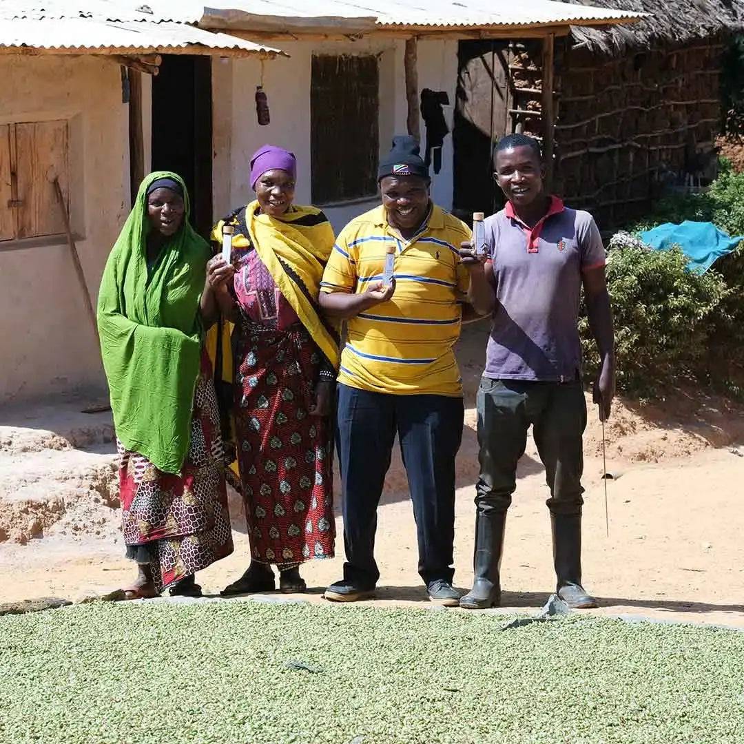 Kardamompulver aus Usambara, Tansania - Ritualmanufaktur.de