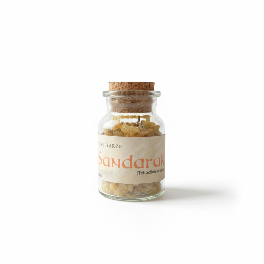 Sandarak  Tetraclinis articulata eines Harz