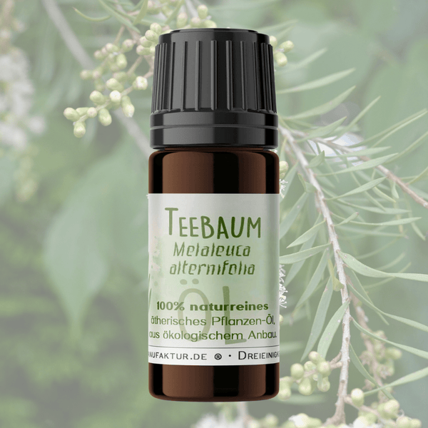 Teebaum - Ritualmanufaktur.de