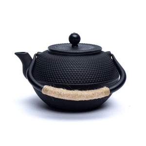 Tetsukyusu japanische Teekannen - Ritualmanufaktur.de