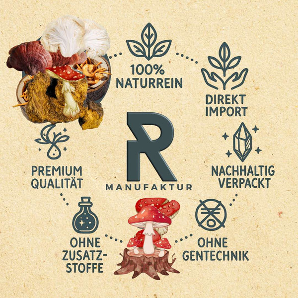 Waldgeflüster magische Pilzmischung - Ritualmanufaktur.de