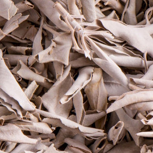 Weißer Salbei premium aus Handernte - Ritualmanufaktur.de