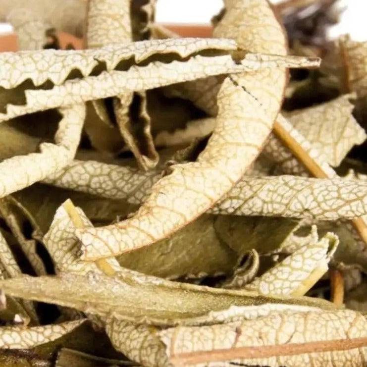 Yerba Santa Räucherbündel Eriodictyon californicum - Ritualmanufaktur.de