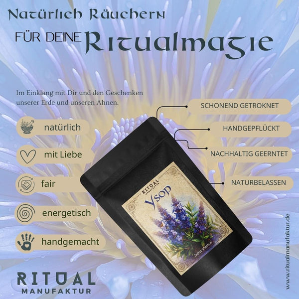 Ysop Hyssopus officinalis - Ritualmanufaktur.de