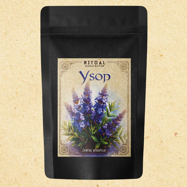 Ysop Hyssopus officinalis - Ritualmanufaktur.de