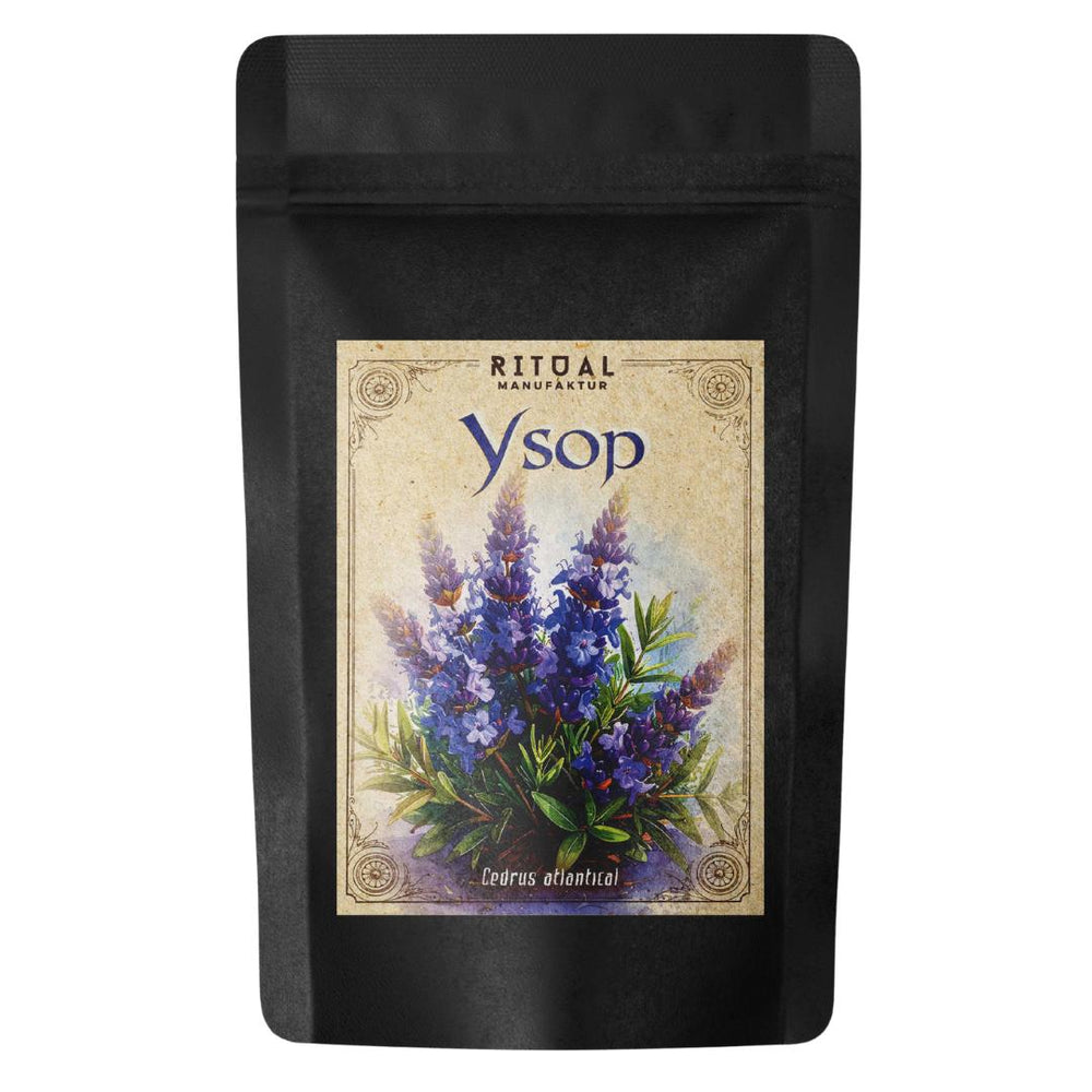Ysop Hyssopus officinalis - Ritualmanufaktur.de