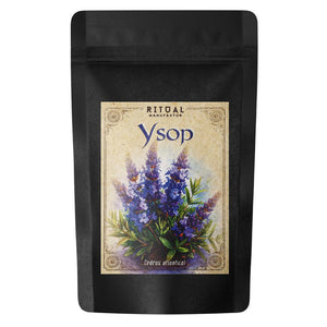 Ysop Hyssopus officinalis - Ritualmanufaktur.de